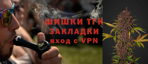 сатива Богданович