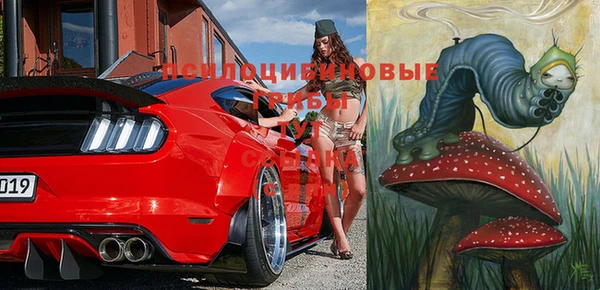 сатива Богданович