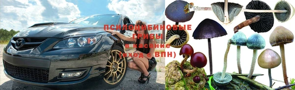 прущий лед Богородск