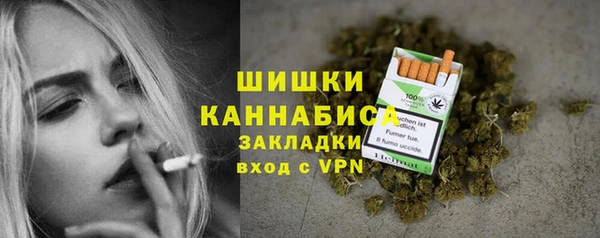 прущий лед Богородск