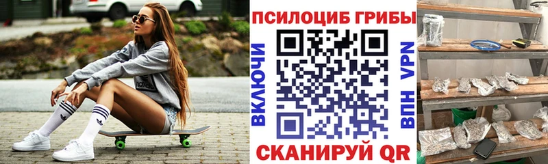 Галлюциногенные грибы Psilocybine cubensis  Дигора 