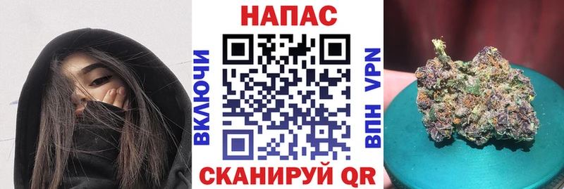 купить наркотики сайты  Дигора  Канабис конопля 
